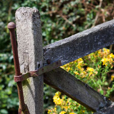 Rooms at Shakespeare's View near Stratford upon avon